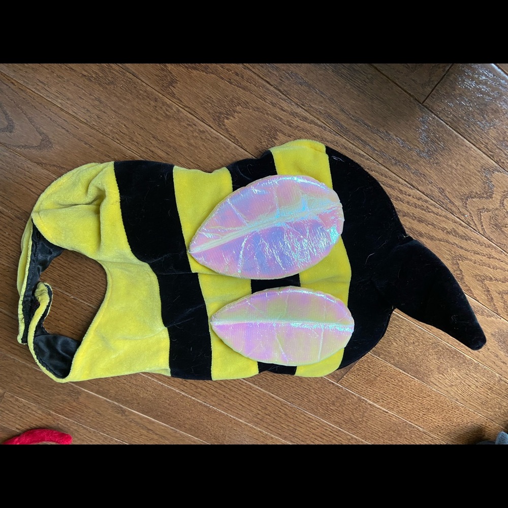 Dog Costume